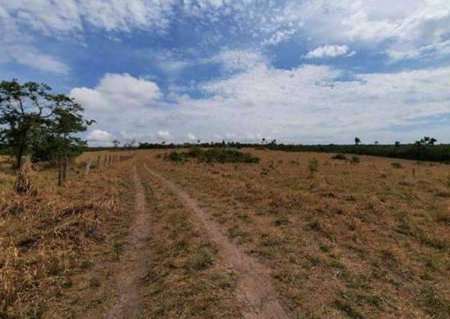 Mesmo sendo oferecida a “preço de banana”, ninguém compra fazenda de 105 hectares levada a leilão em Cerejeiras