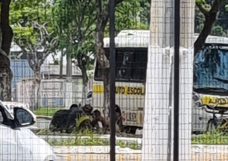 VÍDEO: praça ocupada por população de rua tem brigas e uso de drogas, em Vilhena; Semas não tem como resolver o problema