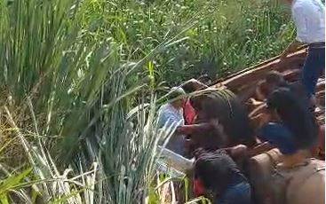 ASSISTA VÍDEO: carreta carregada de milho tomba na “Curva da Banana” e deixa motorista preso às ferragens na BR 435