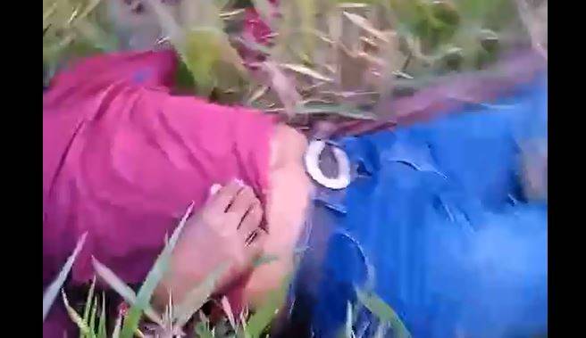 VÍDEO: queda de raio durante temporal mata burro, cavalo e homem no interior de MT; sobrevivente de 60 anos agradece a Deus
