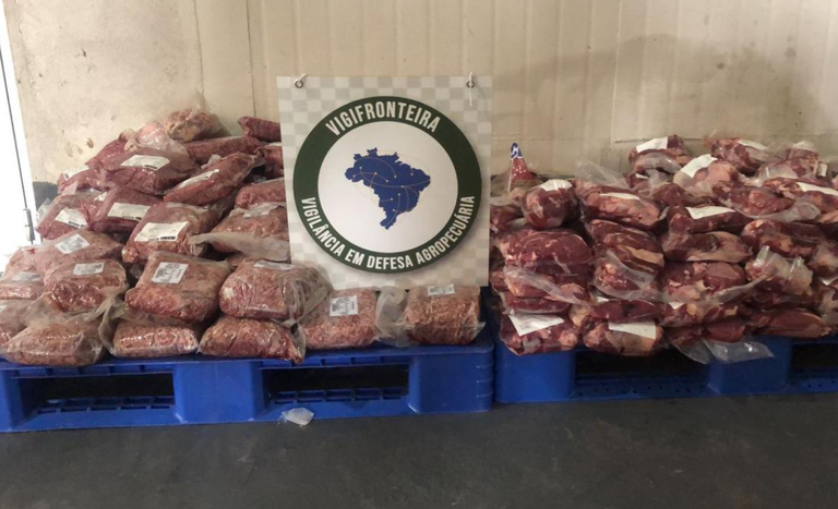 Quase 9 toneladas de carnes impróprias para consumo que seriam usadas na merenda escolar em Rondônia são apreendidas