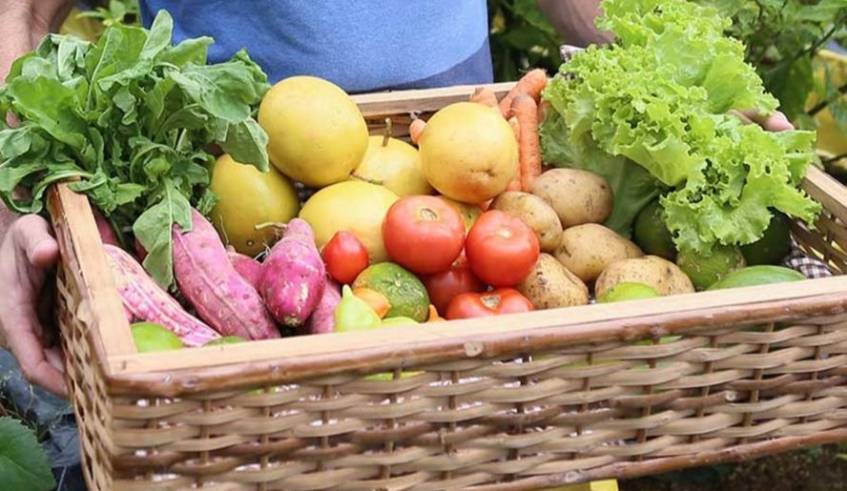 Em Vilhena, prefeitura irá abrir prazo para cadastramento no Programa Municipal de Aquisição de Alimentos