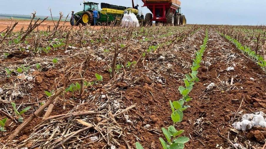 Vilhena será a único município de Rondônia a escapar de prejuízos graves nas safras de soja e milho, avalia especialista da Embrapa