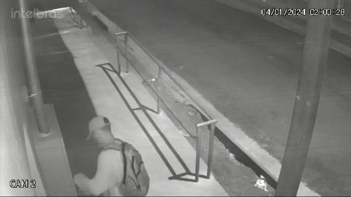 Dupla arromba e invade mercado durante a madrugada em Vilhena; ação foi registrada pelas câmeras de segurança