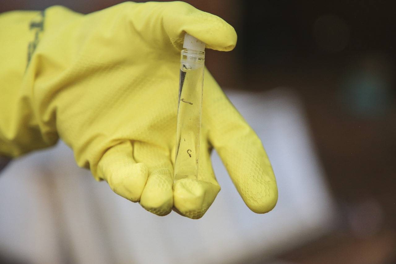 Setor de endemias alerta a população para possível epidemia de dengue no município