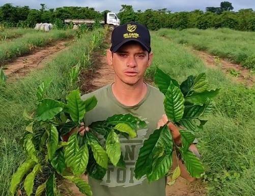 ASSISTA: cafeicultor premiado sofre vandalismo em Rondônia; vídeos viralizam e garantem solidariedade ao jovem empreendedor rural