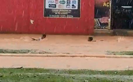ASSISTA: gravado durante temporal, vídeo mostra crianças aproveitando “corredeira” em avenida alagada de Vilhena
