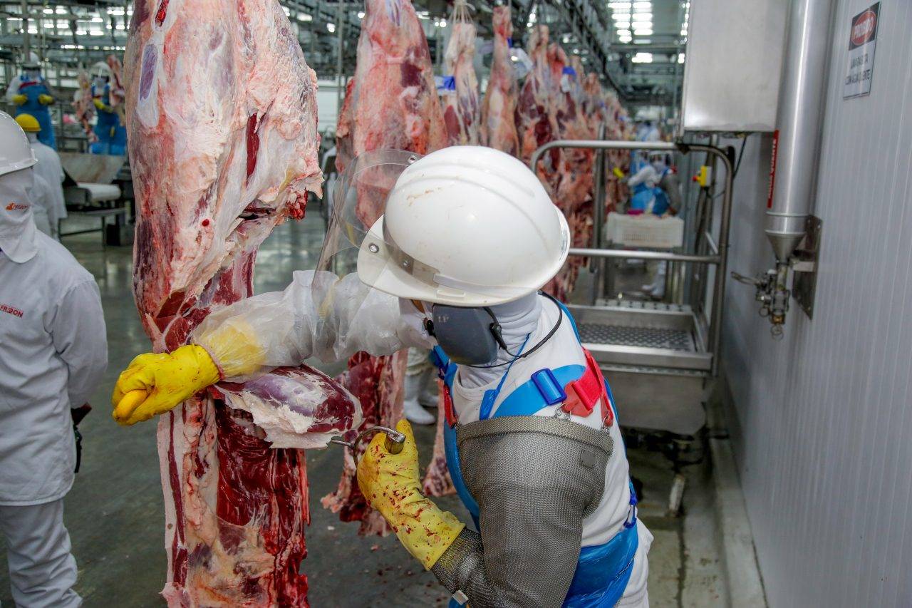 Novo mercado: Rondônia recebe autorização para exportar carne bovina para o Canadá