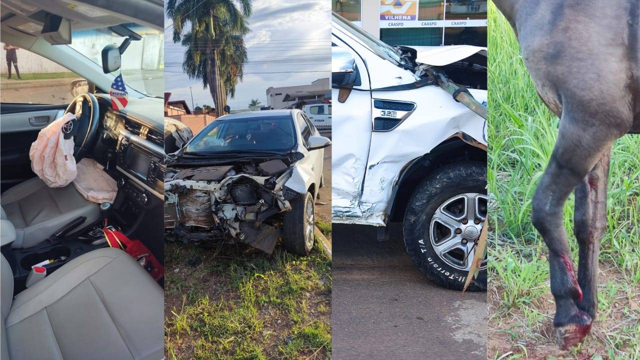 COMOVENTE: carroceiro de 76 anos chora ao ver burro ferido após acidente envolvendo outros dois veículos, em Vilhena