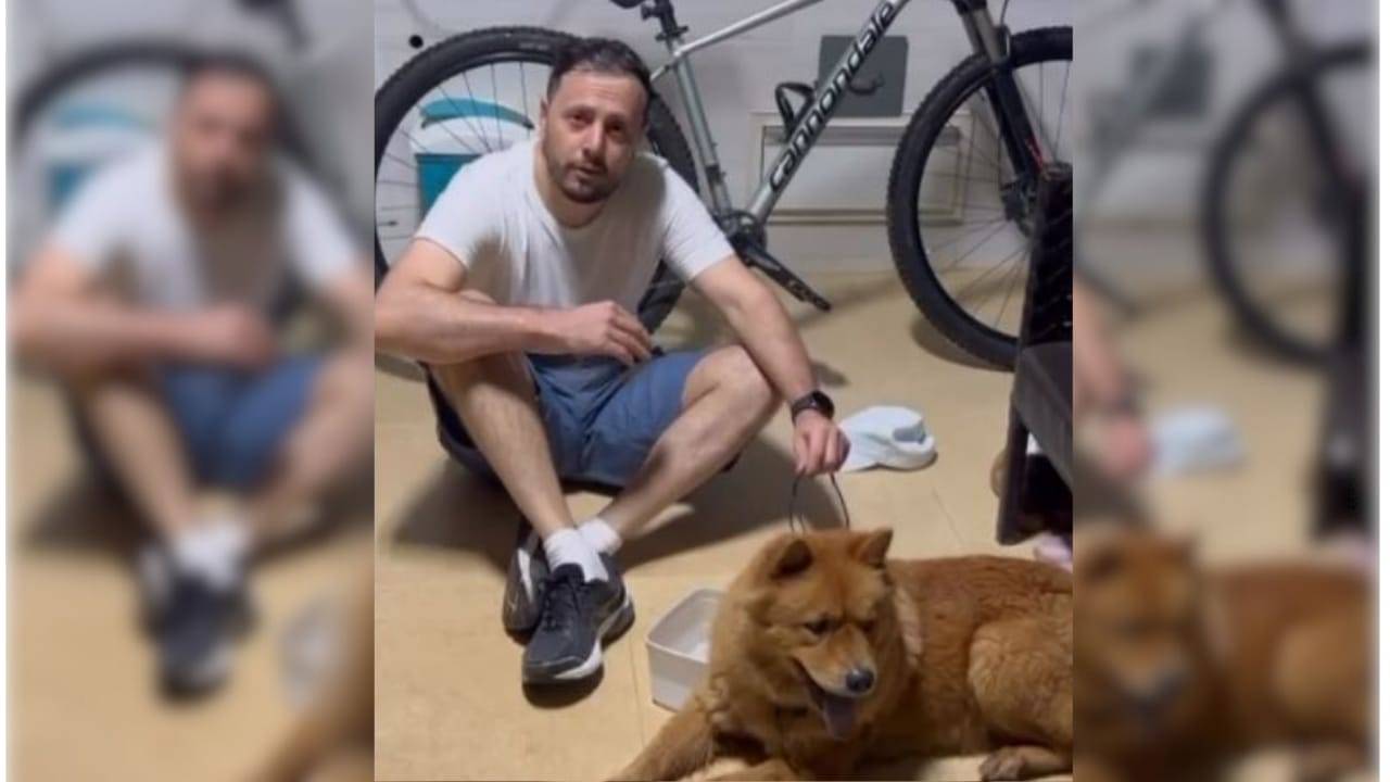 ASSISTA VÍDEOS: prefeito de Vilhena acolhe cão que teria sido abandonado, mas animal foge com a ajuda de "comparsa”
