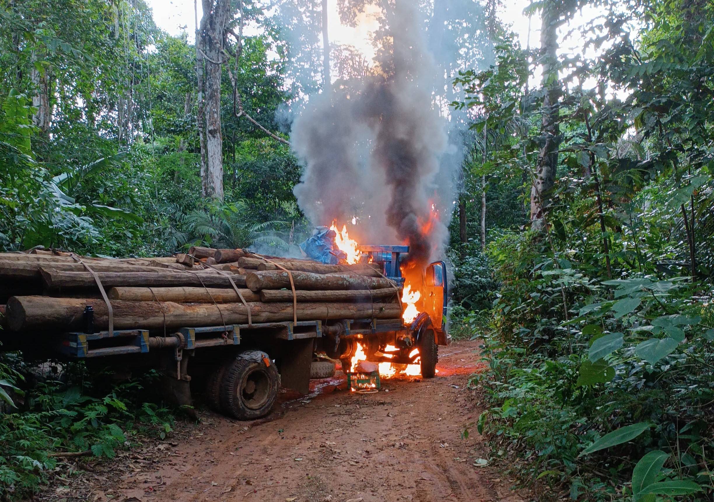 VÍDEOS: PF/RO deflagra operação contra crimes ambientais em reservas indígenas; maquinário, veículos e equipamentos foram destruídos