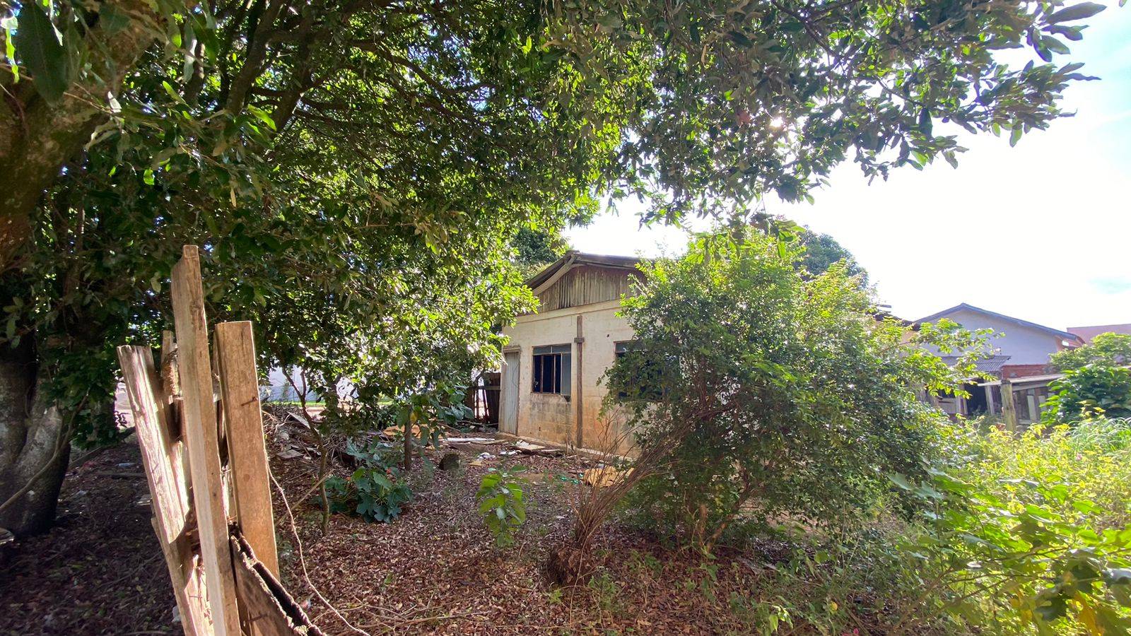 Moradores fazem abaixo-assinado e denunciam casa que virou “lixão” e pode provocar explosão de casos de dengue em Vilhena