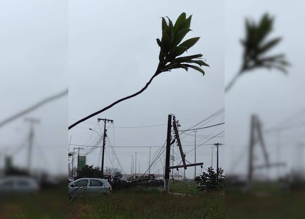 ASSISTA VÍDEO: ventania repentina atinge Vilhena derruba árvore e deixa parte da cidade sem energia elétrica