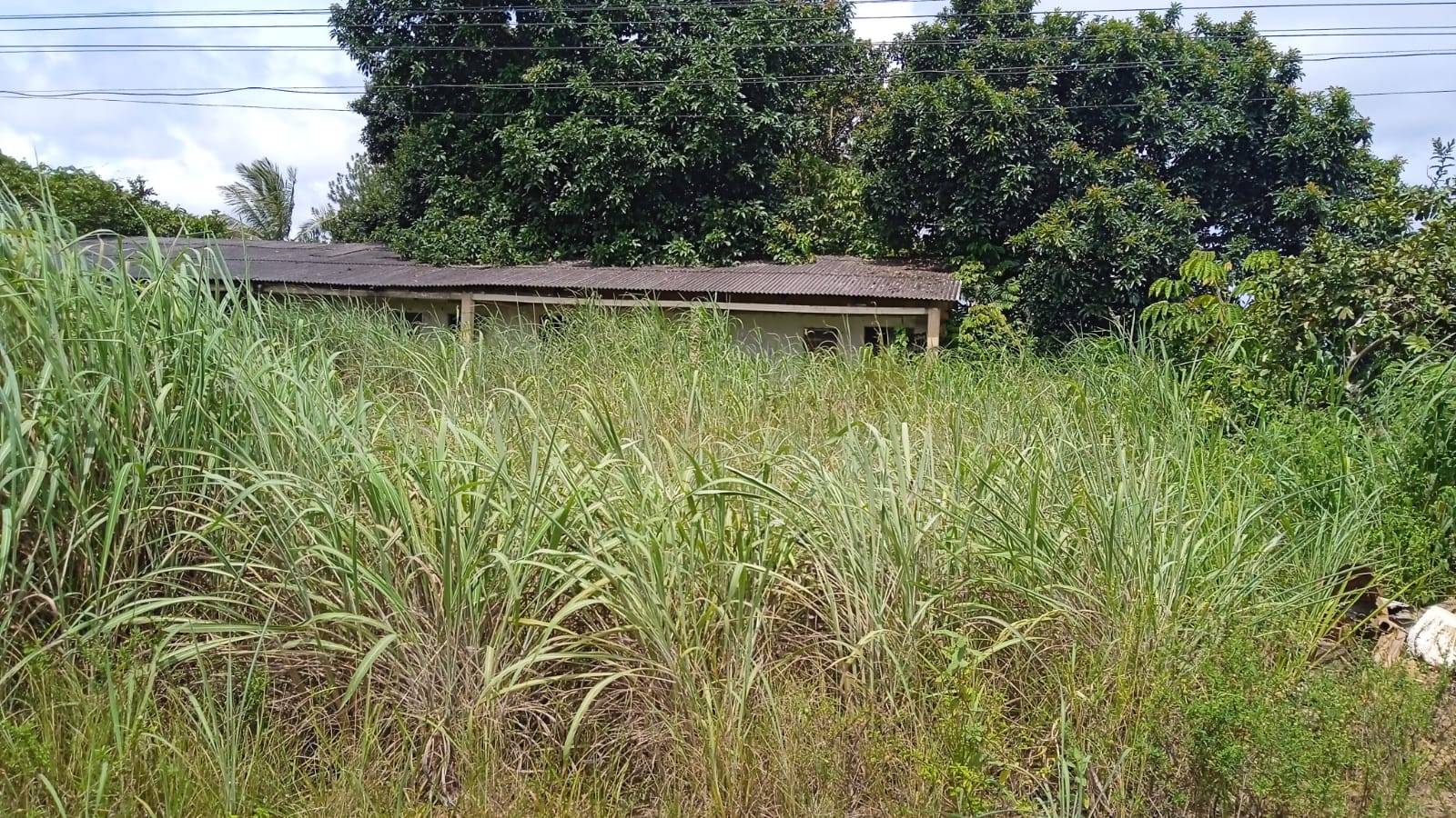 ASSISTA VÍDEO: posto de combustíveis abandonado “enfeia” a entrada da cidade e ameaça provocar surto de dengue em Vilhena