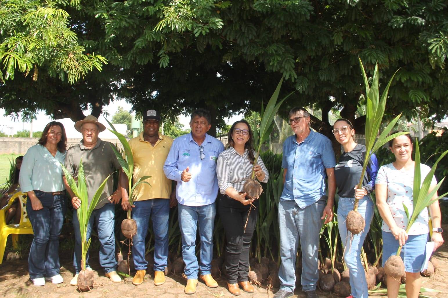 Deputada Rosangela Donadon entrega mudas de coco para agricultores de Alvorada, Teixeirópolis e Urupá