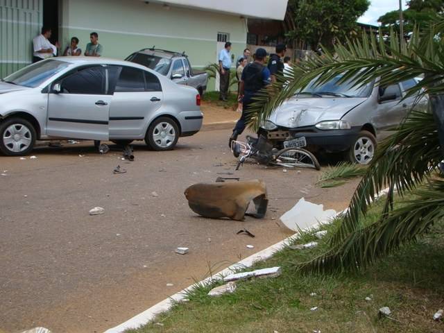 Plantas em canteiro de avenida já causaram acidente e podem provocar tragédia