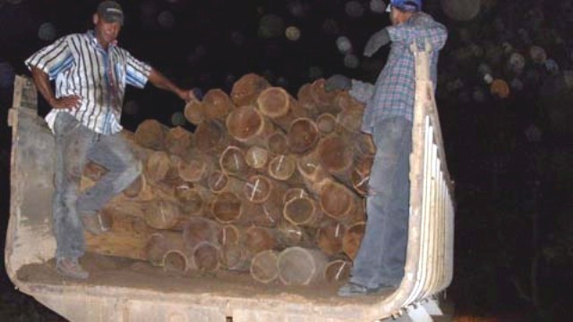 Ibama apreende carregamento irregular e Prefeitura de Vilhena ganha madeira