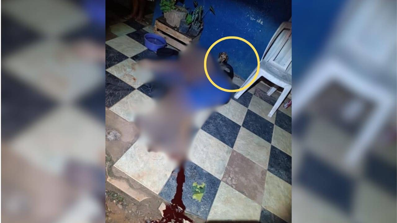 Morre segundo homem baleado em Vilhena; cãozinho foi encontrado ao lado do corpo ensanguentado do dono, executado primeiro