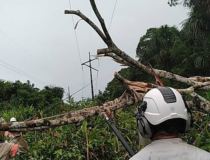 Queda de árvores provoca apagão de quase quatro horas que atingiu cidades do Cone Sul; em nota, Energisa explica “blecaute”