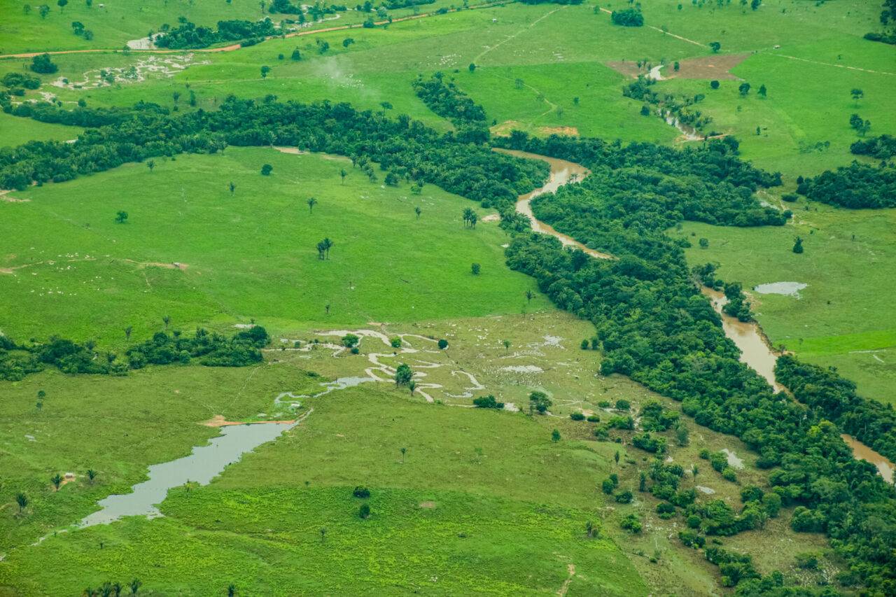 Redução de emissão de gases de efeito estufa na agropecuária é discutida em oficina do ABC+ Rondônia