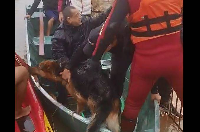 VEJA VÍDEOS: Bombeiros de Rondônia salvam pessoas e animais no RS devastado pelas chuvas; vilhenense é citada em reportagem da CNN