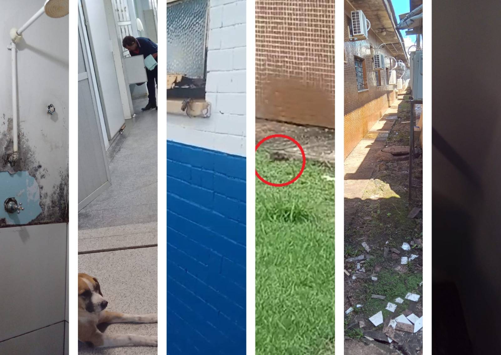 ASSISTA: moradora de Cerejeiras grava vídeos mostrando baratas e até rato “passeando” no Hospital de Base, em Porto Velho