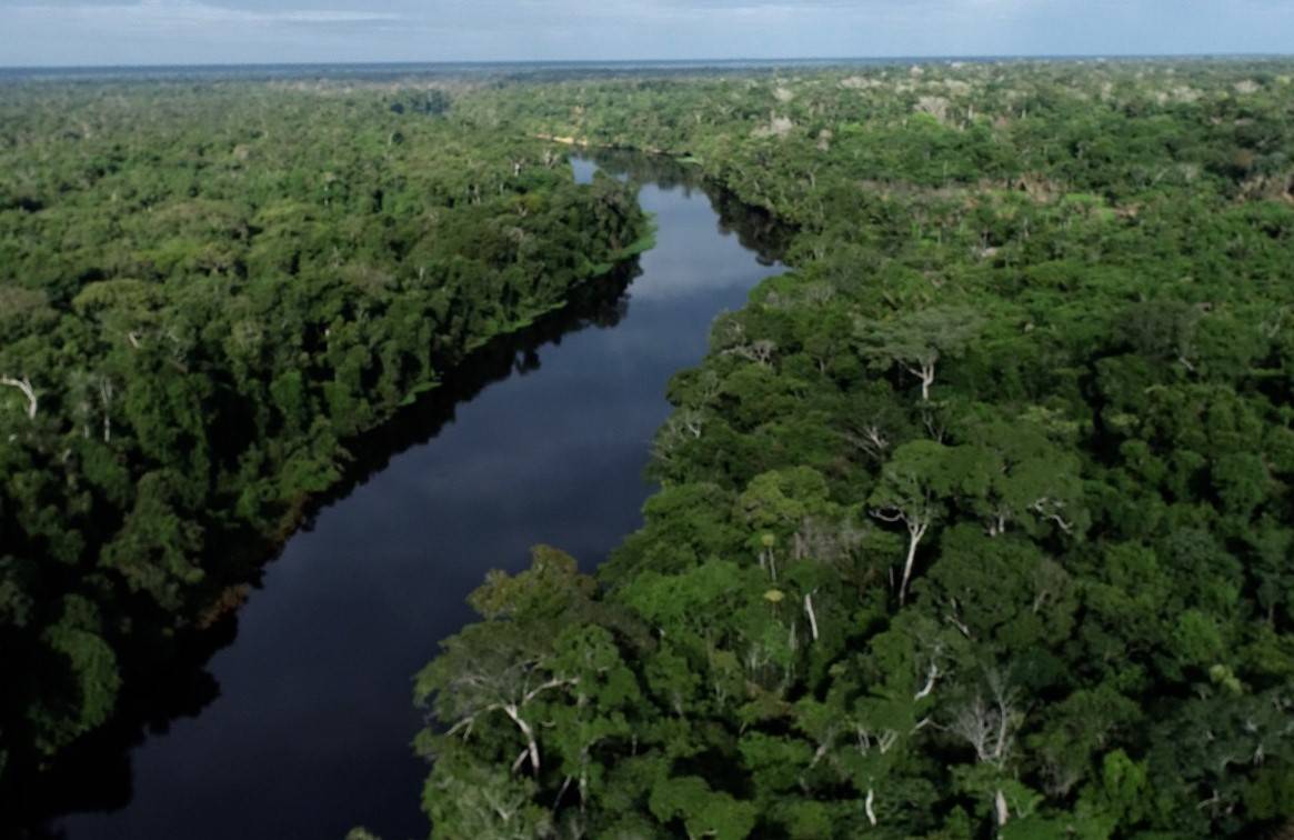 Relatório Anual do MapBiomas aponta redução de mais de 70% no desmatamento em Rondônia
