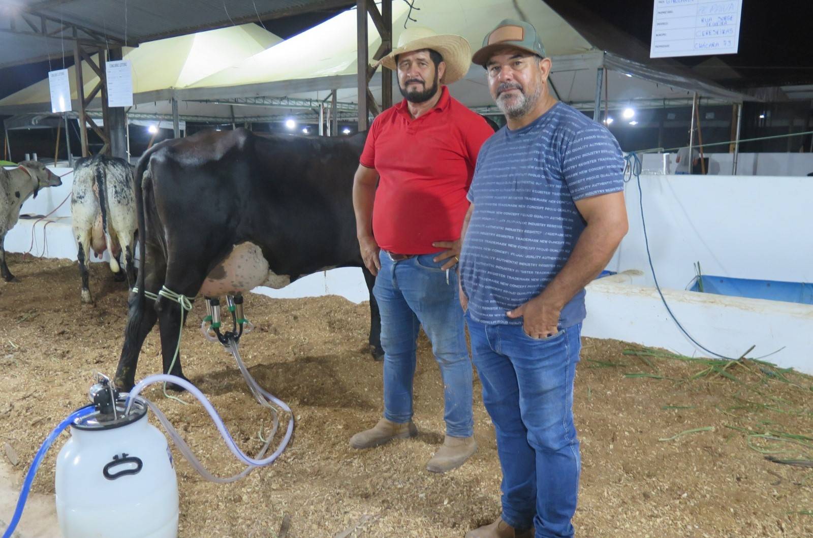 Rafaela: a vaca que escapou de ser mandada para o açougue e se tornou a virtual campeã do concurso Leiteiro da Expocol