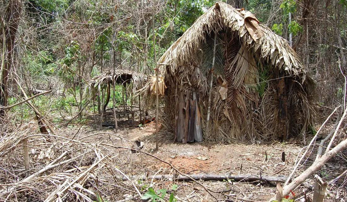 Futuro da área onde viveu “Índio do Buraco”, no Cone Sul de Rondônia, é alvo de disputa judicial
