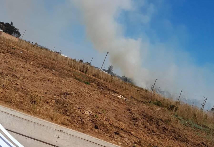 ASSISTA VÍDEOS: morador filma fogo consumindo área de pastagem e ameaçando gado próximo a bairro, em Vilhena