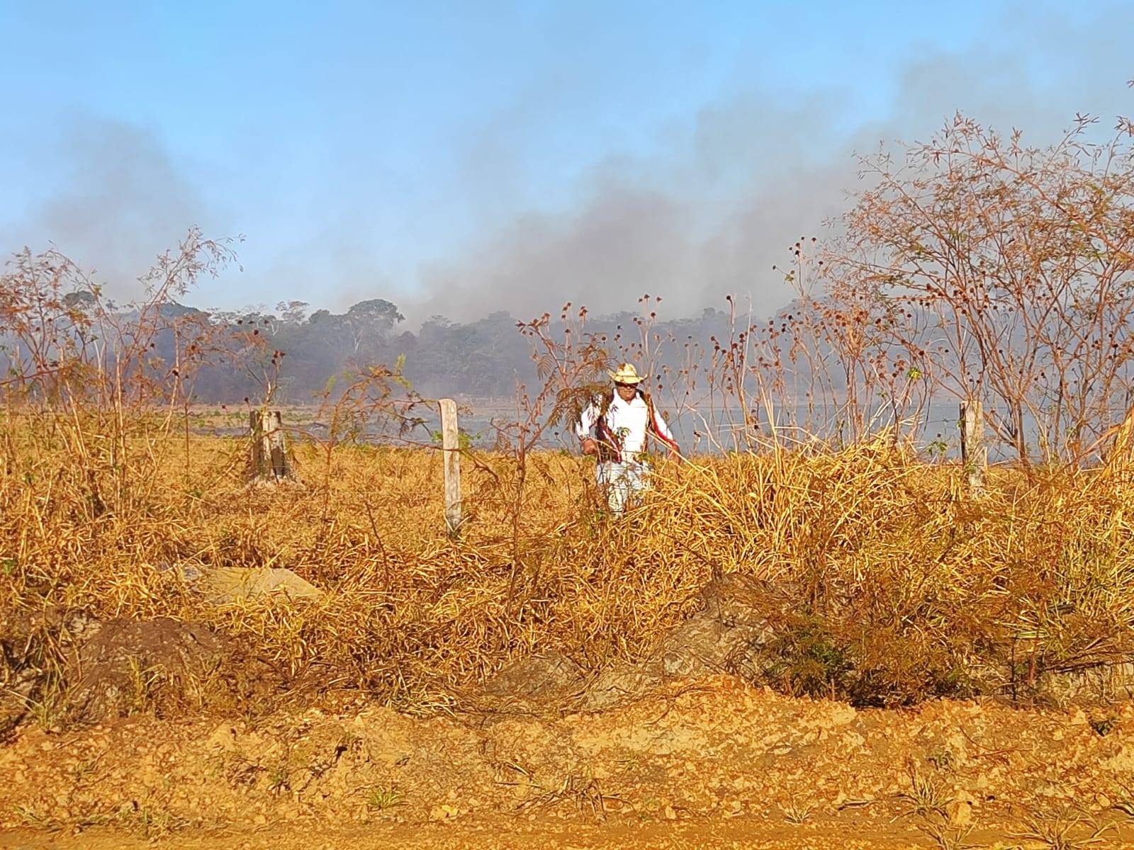 ASSISTA VÍDEO: incêndio em área de mata no entorno de Vilhena mobiliza voluntários, Corpo de Bombeiros e até avião