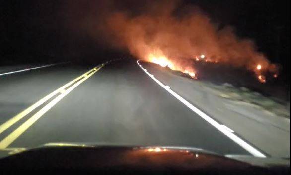 VEJA VÍDEO: vilhenense filma incêndio devastando vegetação entre Vilhena e Pimenta Bueno e contabiliza dezenas de animais mortos