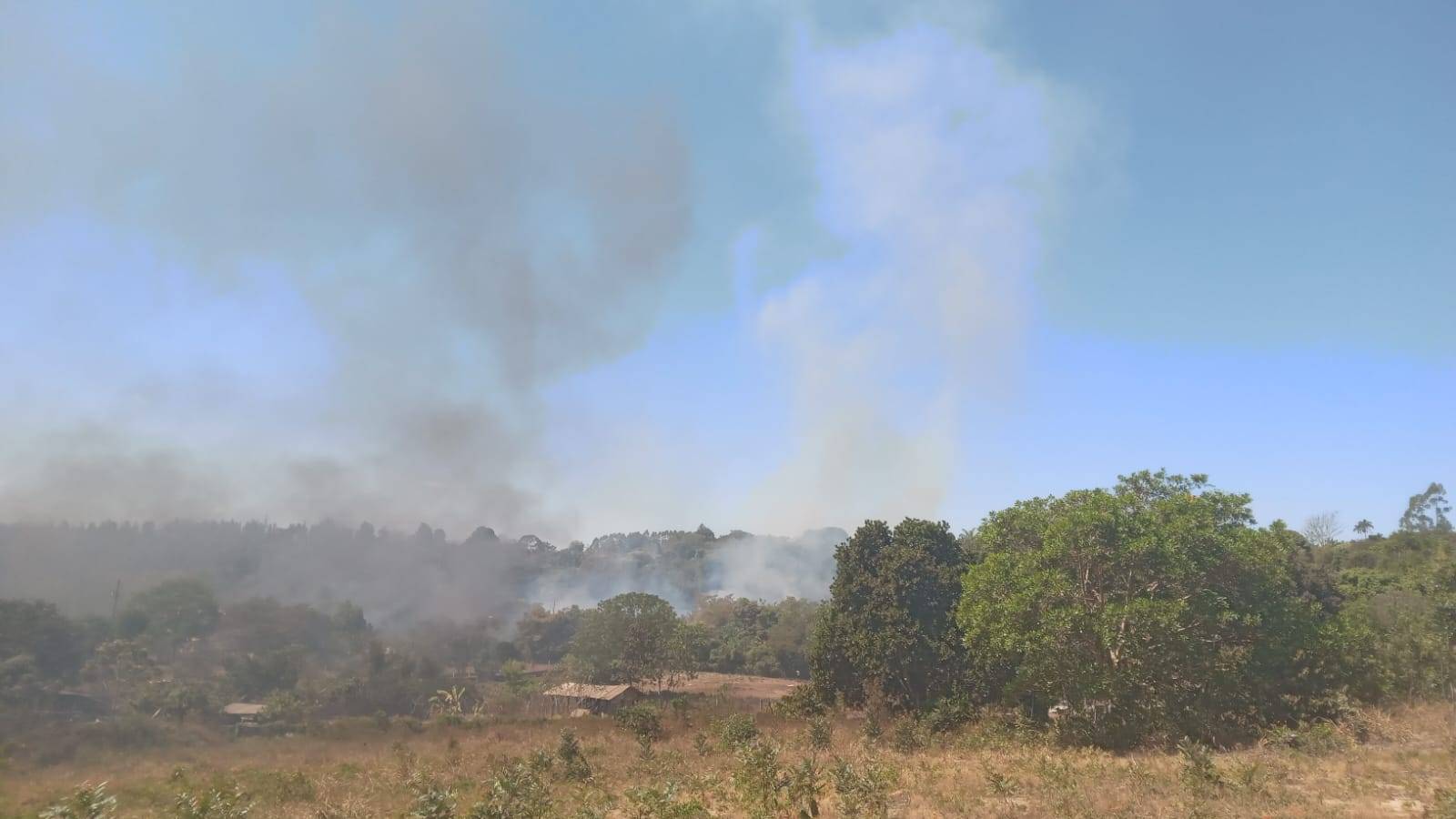 VEJA VÍDEOS: incêndio que pode ter sido provocado por cacos de vidro devasta chácara e mobiliza Bombeiros, em Vilhena