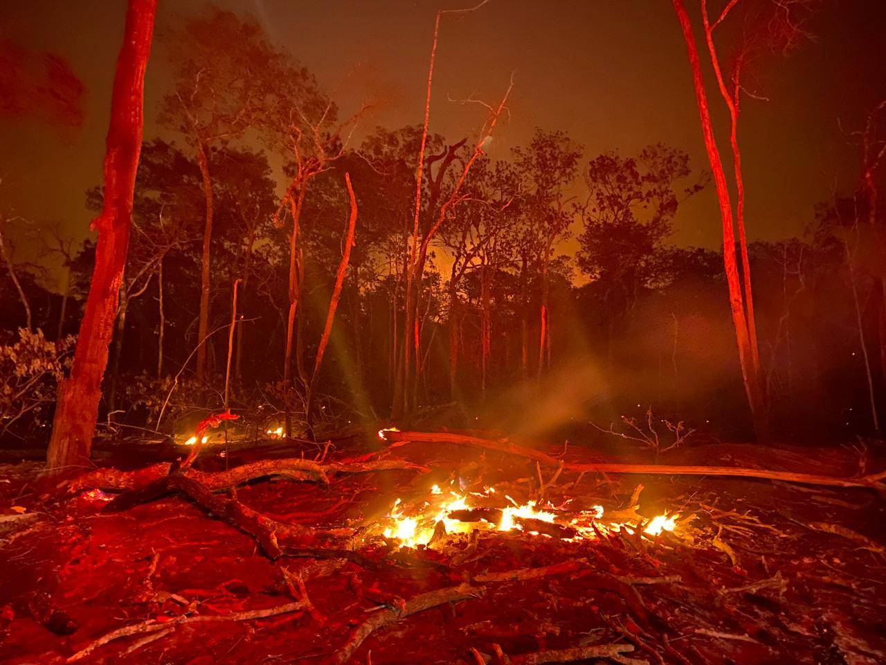 FOTOS E VÍDEO: Bombeiros lutam há uma semana para impedir que incêndio atinja casas entre Vilhena e Colorado do Oeste