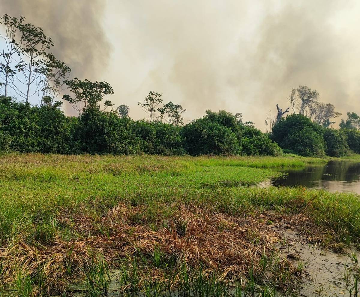 VEJA VÍDEOS: incêndios que começaram na Bolívia “pularam” o rio Guaporé e começam a devastar a vegetação em Pimenteiras do Oeste