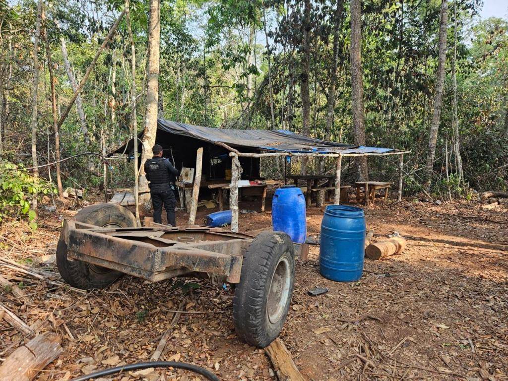 Em cidade vizinha, polícia prende seis suspeitos e apreende 10 caminhões de madeira ilegal que estava sendo trazida para Rondônia