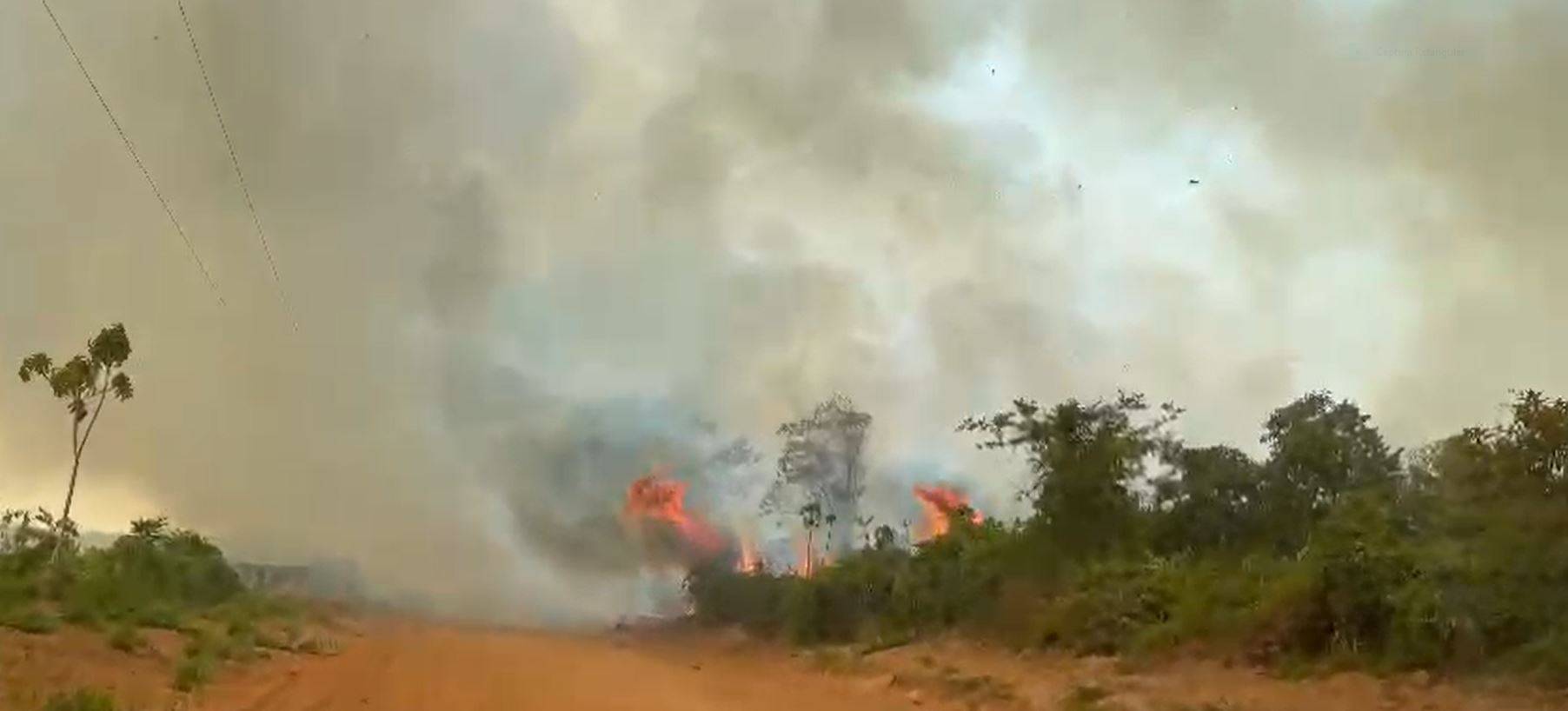 ASSISTA VÍDEOS: novo incêndio devasta vegetação em área a poucos quilômetros da zona urbana de Vilhena