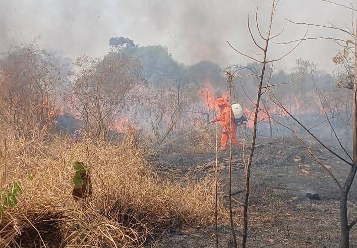 VÍDEO - Bombeiros são mobilizados mais uma vez para combater queimada na área urbana de Vilhena; incêndio aparenta ser criminoso