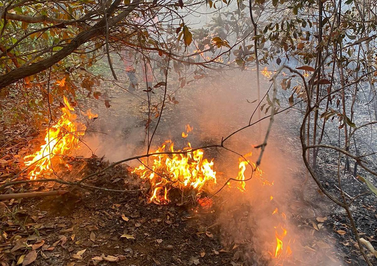 ASSISTA VÍDEOS: Bombeiros combatem dois grandes incêndios ao mesmo tempo, em Vilhena; há relatos de maquinário agrícola destruído