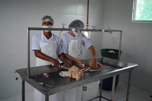 Agricultores fazem “vaquinha” e energia chega em abatedouro de frangos