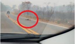 Identificado o homem que teve a cabeça esmagada na BR 364 em trecho da rodovia federal em cidade vizinha