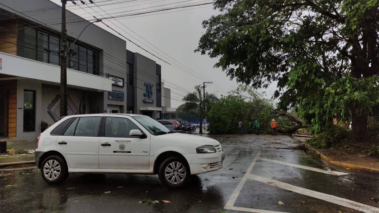 ASSISTA VÍDEOS E VEJA FOTOS: temporada de chuvas chega trazendo medo, destruição e transtornos para os vilhenenses