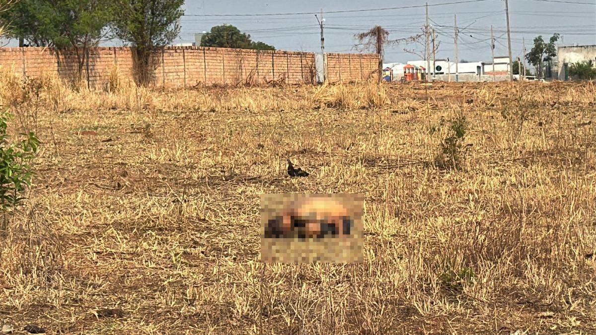 Aos 44 anos, ex-morador de Vilhena é assassinado em cidade de Mato Grosso; polícia investiga autoria e motivação do crime