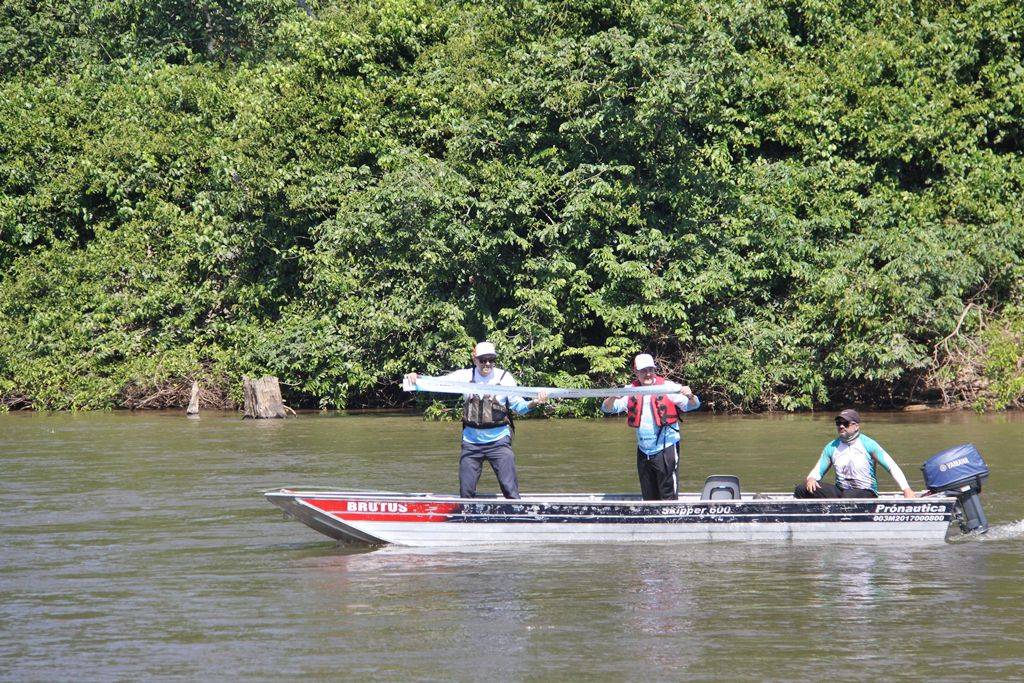 Inscrições abertas e gratuitas para o Campeonato de Pesca Esportiva Gigantes de Rondônia; uma das etapas será no Cone Sul