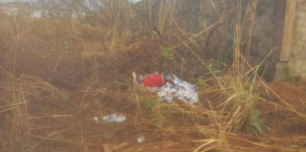 URGENTE: corpo masculino com ferimentos na cabeça é encontrado enrolado em lençol e jogado em terreno baldio, em Vilhena