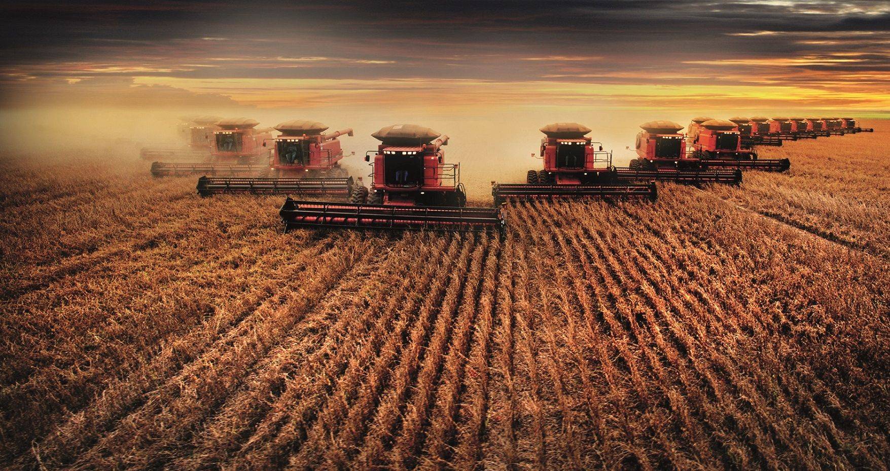 Lista dos 100 municípios mais ricos do agronegócio brasileiro inclui 36 de Mato Grosso e nenhum de Rondônia; veja quais são