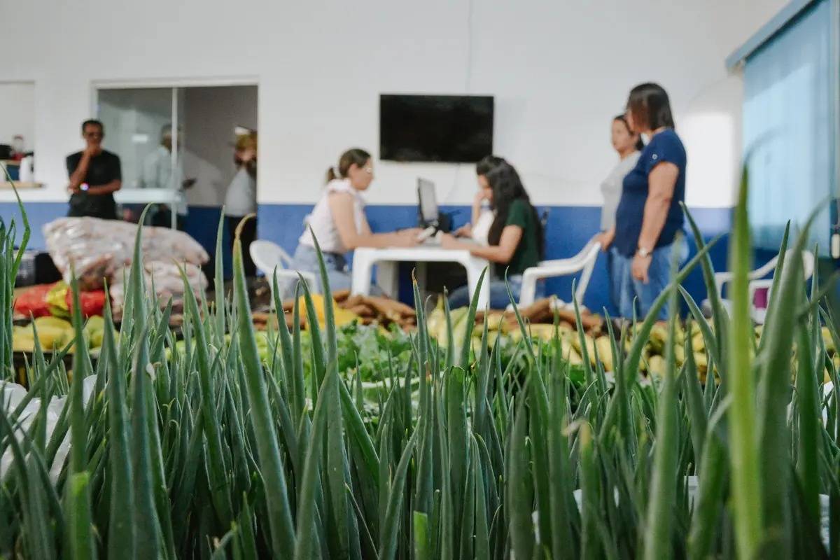 Prefeitura de Vilhena realiza entrega de alimentos do PAA e PMAA para entidades assistenciais