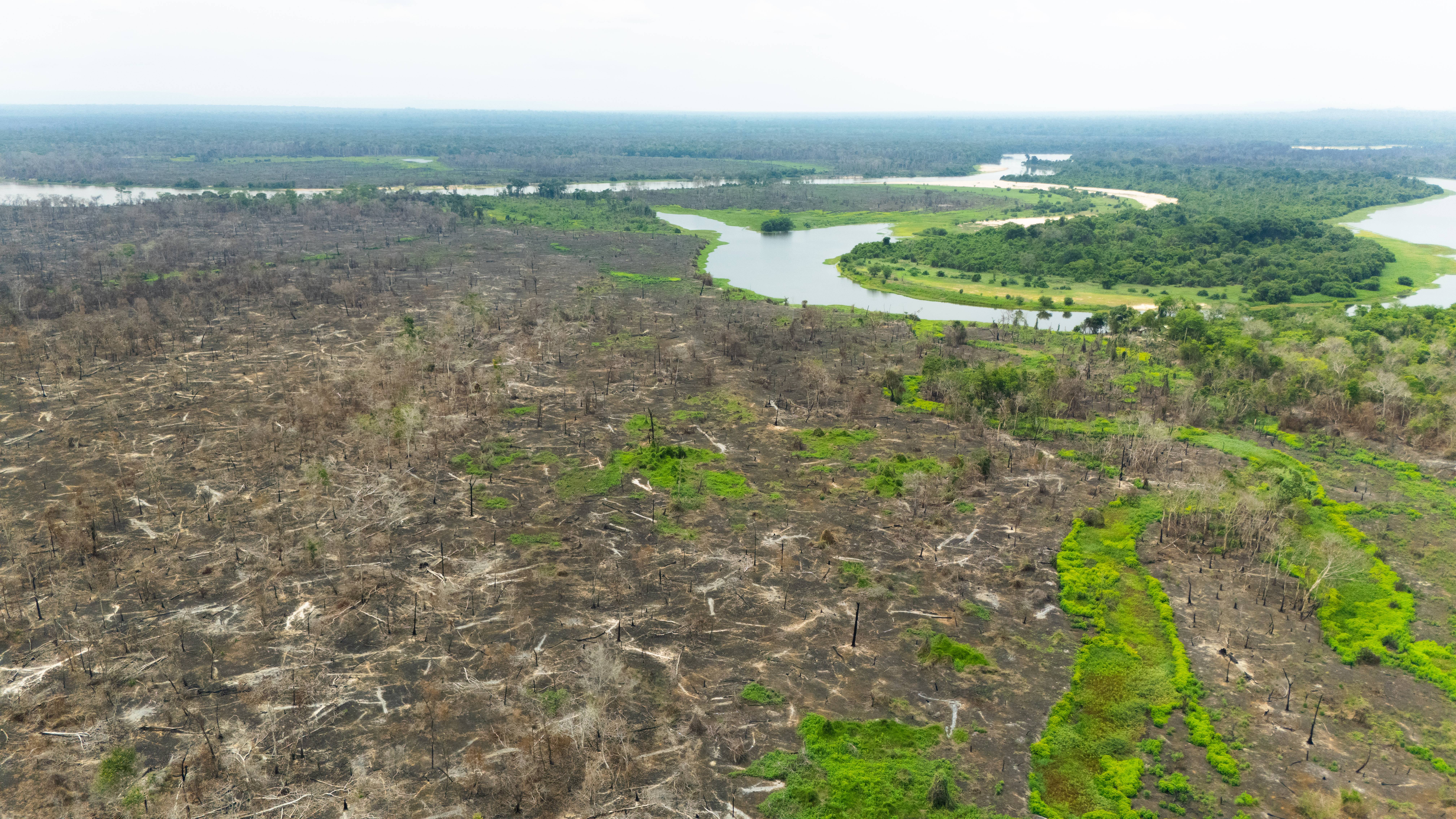 Em parceria com CIMCERO, Sicoob Credisul inicia restauração de áreas afetadas por queimadas em Pimenteiras do Oeste (RO)