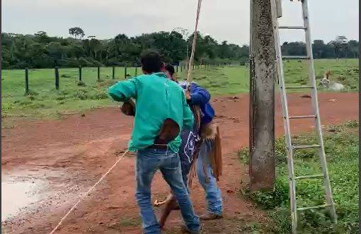 Viraliza em Rondônia, vídeo que mostra trabalhador de 46 anos sendo resgatado após sofrer descarga elétrica e morrer em fazenda