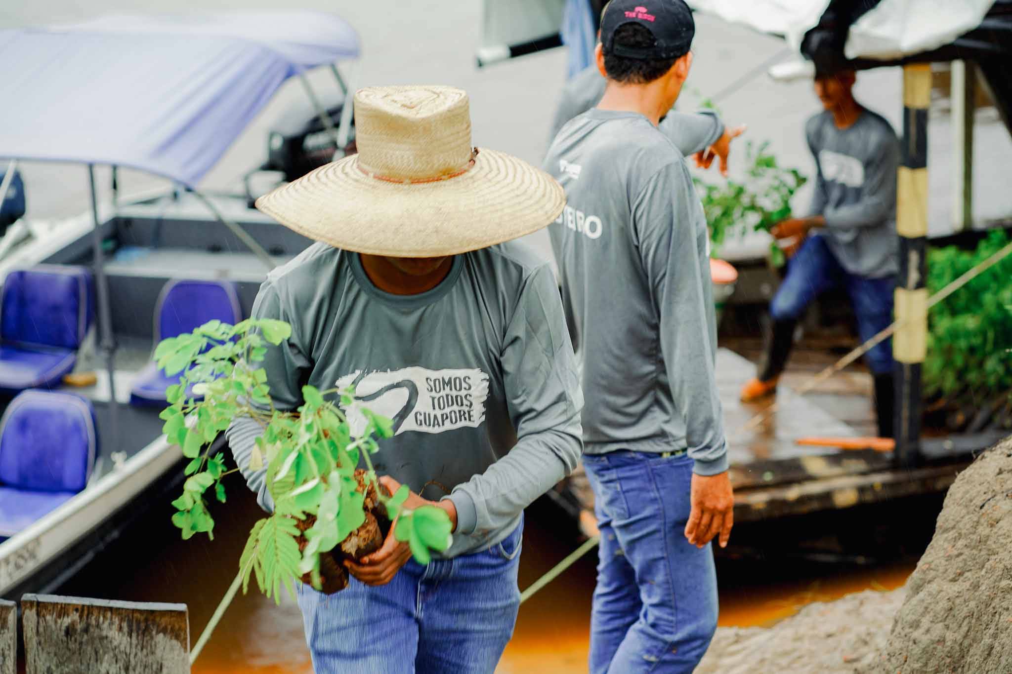 Sicoob Credisul realiza plantio de mudas nativas para recuperação de matas do Rio Guaporé em Pimenteiras do Oeste (RO)